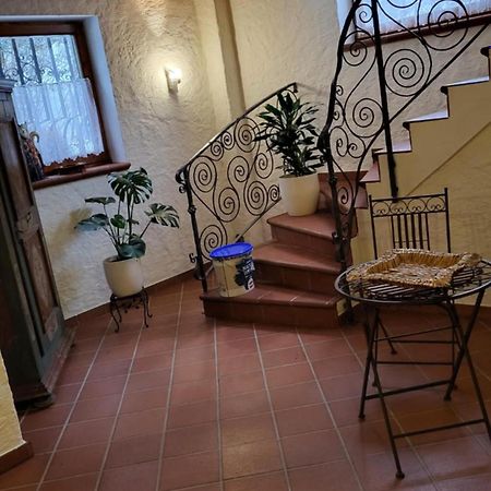 Apartament Haus Marianne Hof bei Salzburg Zewnętrze zdjęcie